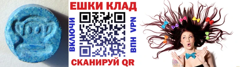 Купить закладки  Славгород  Экстази Philipp Plein 