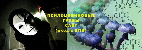 МДПВ Белокуриха