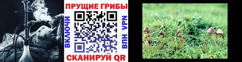 Псилоцибиновые грибы мицелий  Купить где  Славгород 